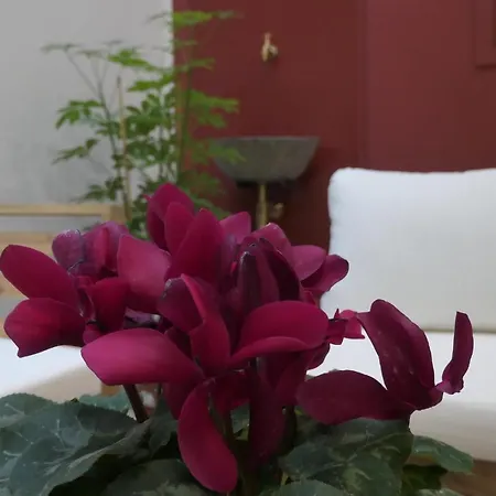 Appartement Opera - Aida